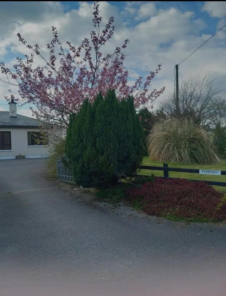 Parkhill House Self Catering Apartman Ballyshannon Kültér fotó